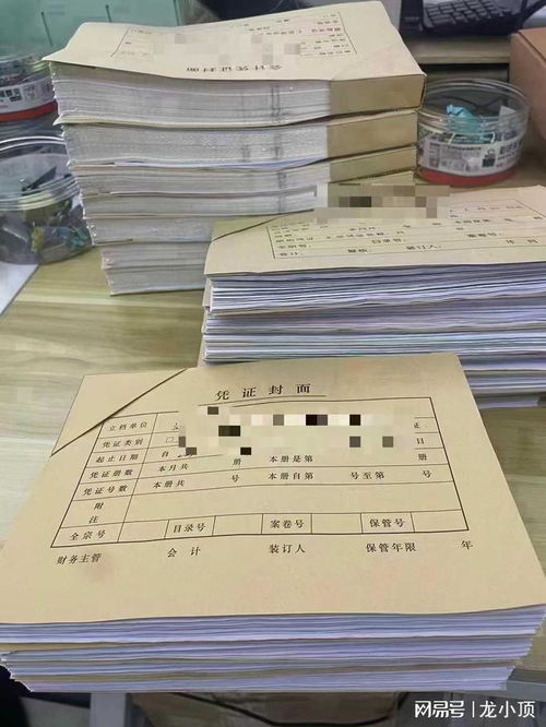 濰坊企業財務首選 龍頂會計服務，專業代理記賬與出口退稅專家